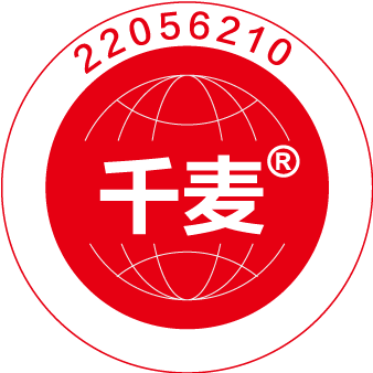 ISO data recovery company